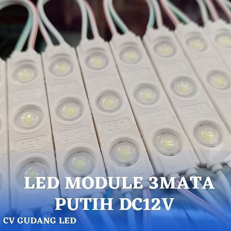 Led Module 3 Mata Putih DC12V