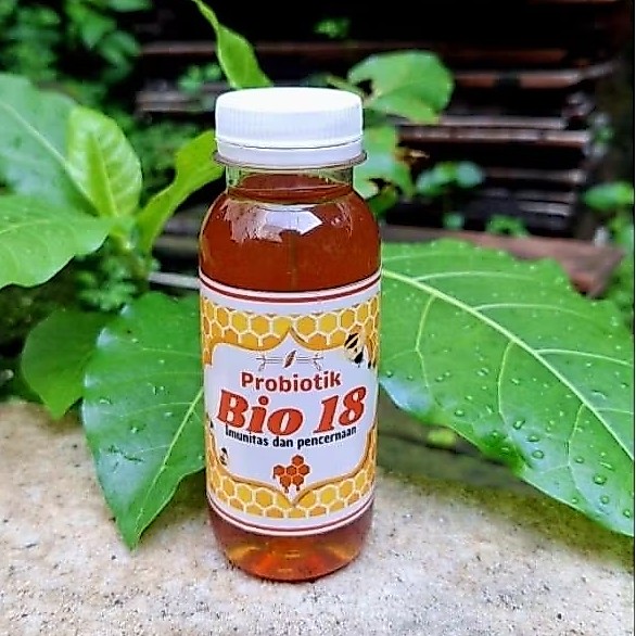 PROBIOTIK MADU MANGGIS B18, PENCERNAAN DAN KECERDASAN 100ml ORIGINAL