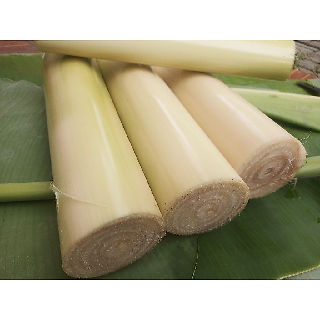 Gedebong pisang - batang pisang