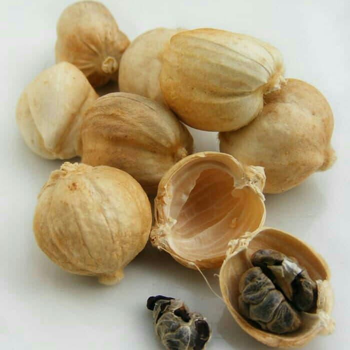 Kapulaga kering 1kg Buah kapulaga kering