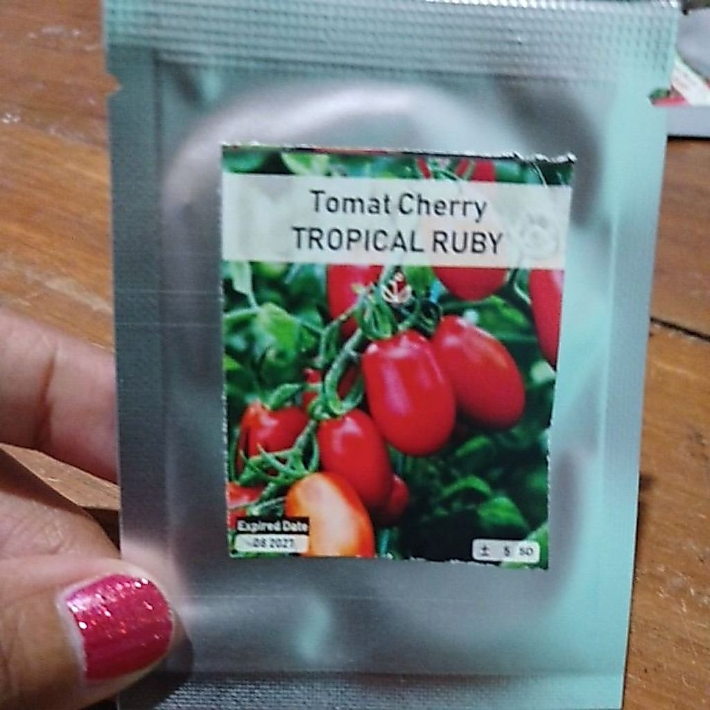 Bibit Benih Tomat Cherry Tropical Ruby