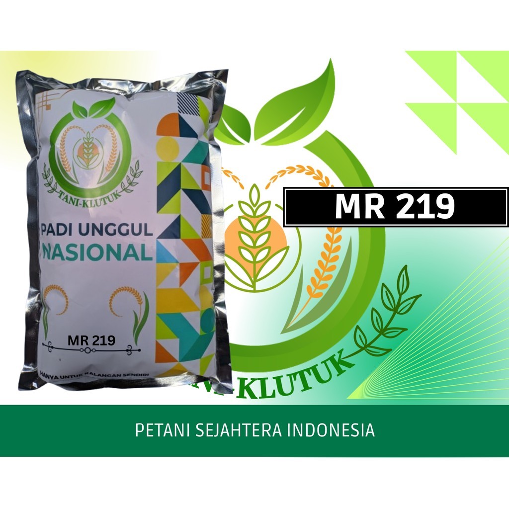 Biji/benih Padi Unggul  MR 219  MR219  1KG ORIGINAL PRODUK