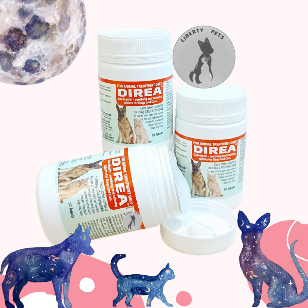 Direa Obat Anti Diare Kucing Anjing (1 Tablet)