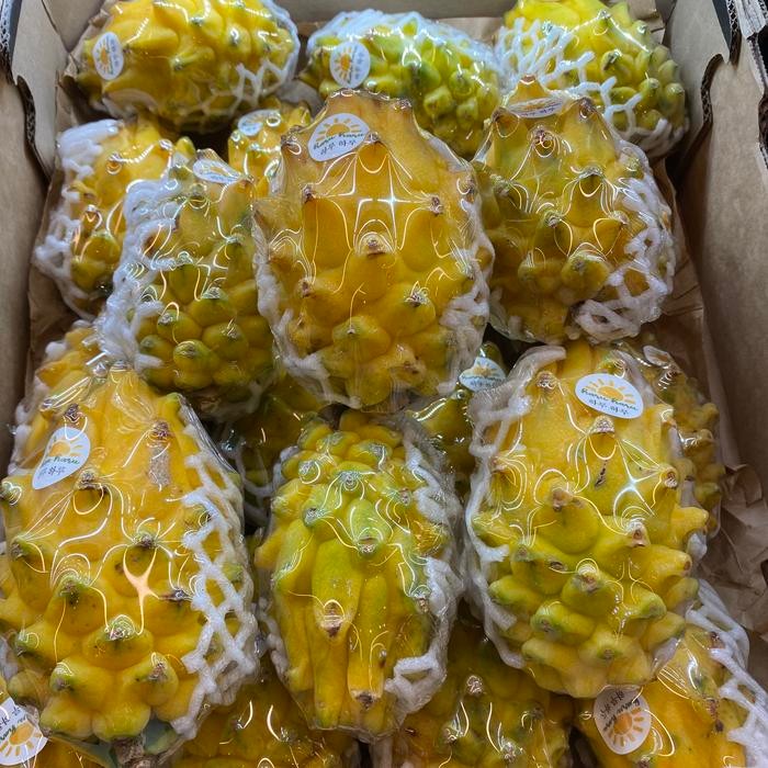

Promo Buah naga kuning import super manis | dragon fruit yellow import sweet 1 kg