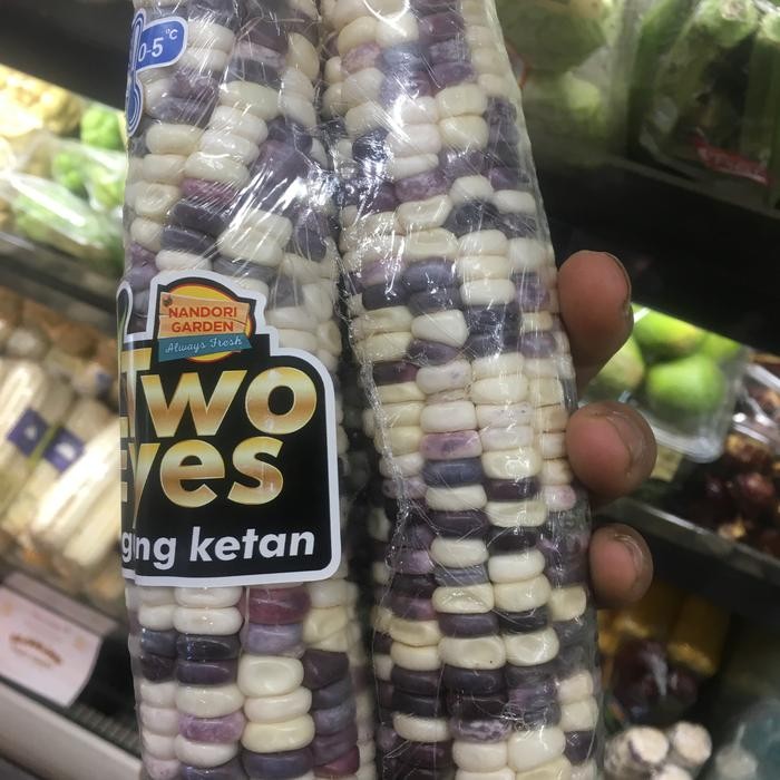 

Jangung ketan Multi-Color Corn /jangung ketan 3 warna