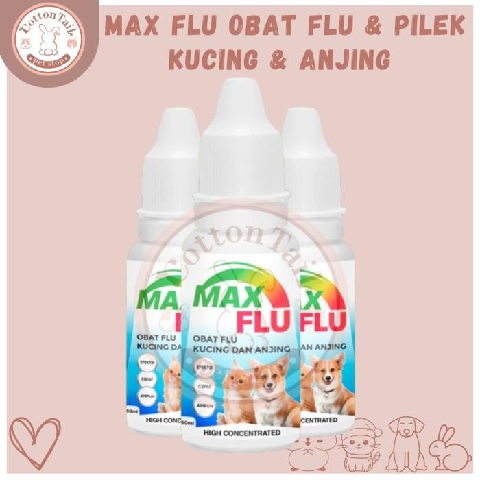 MAX OBAT FLU & PILEK KUCING DAN ANJING - Obat Pilek Kucing & Anjing