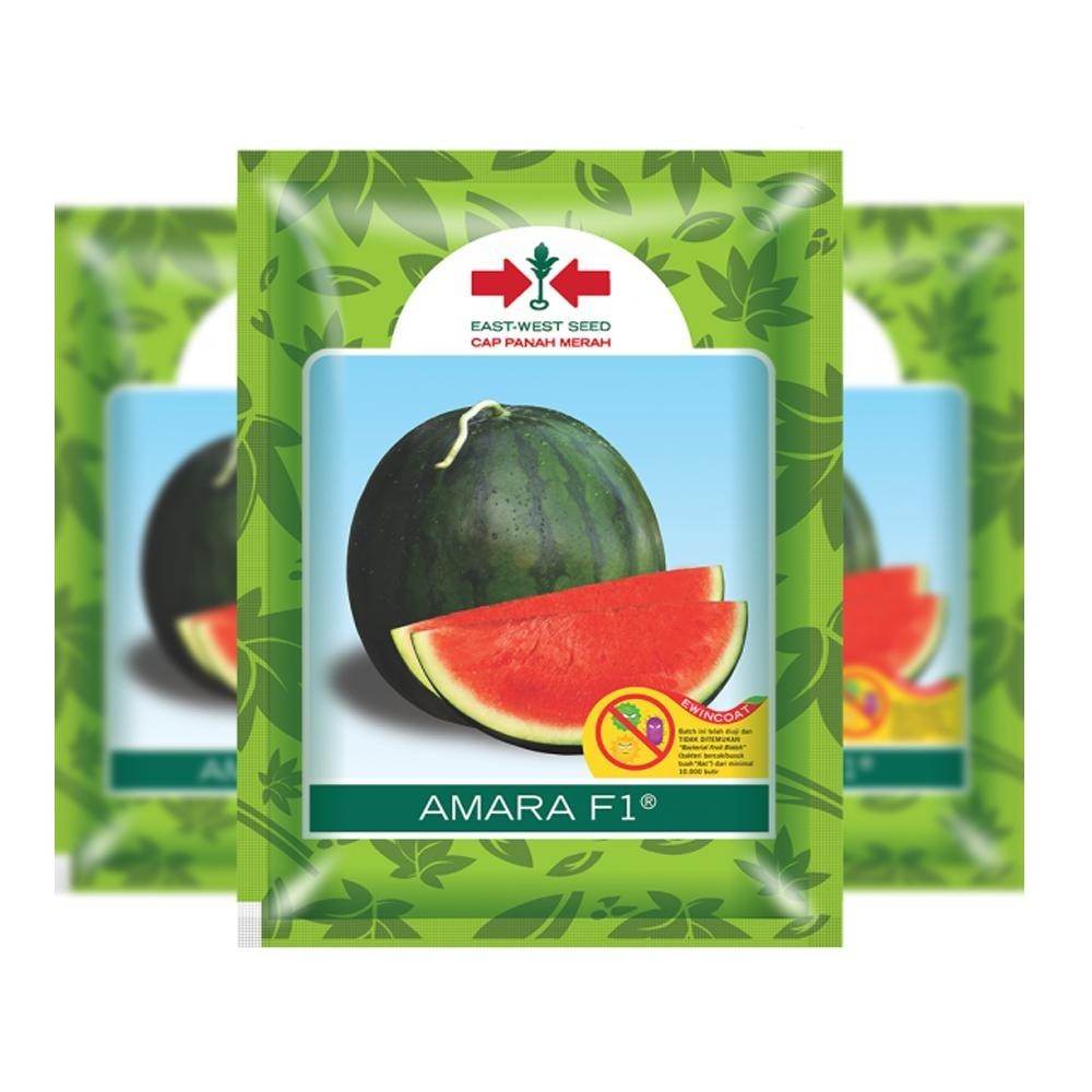 benih semangka super tanpa biji bibit unggul