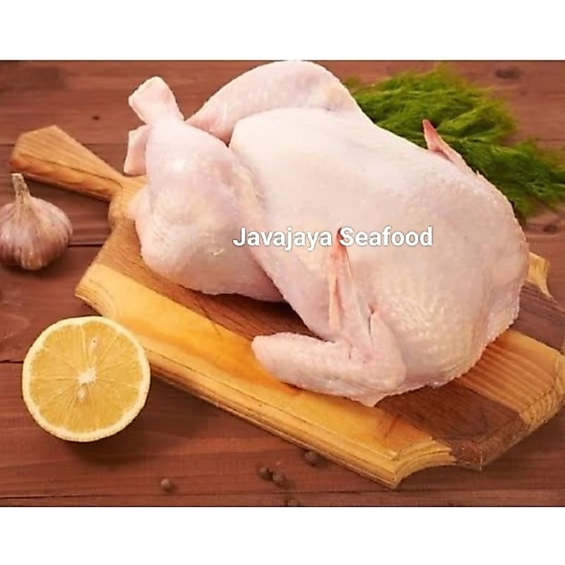Ayam Karkas / Daging Ayam Broiler Karkas Per Ekor