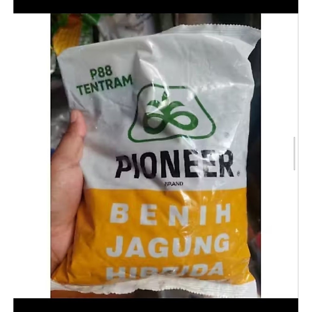 BENIH JAGUNG HIBRIDA P88 TENTRAM KEMASAN 1KG ORRIGINAL