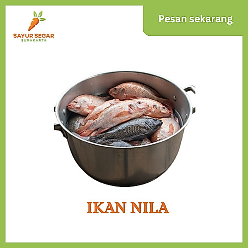 Ikan Nila Fresh - Sayur Segar Surakarta