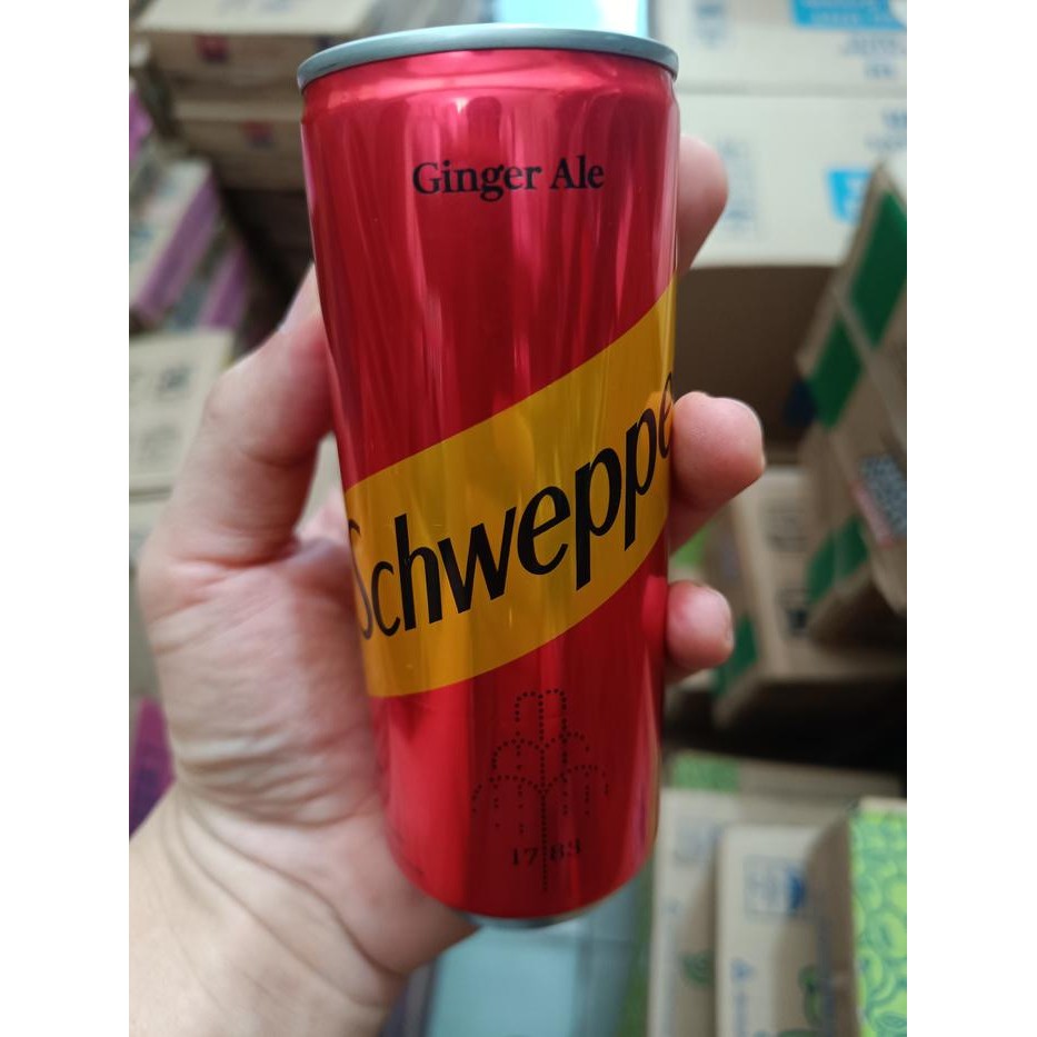 

promo Schweppes soda water 250ml 1karton isi 24pcs - ginger ale terlaris
