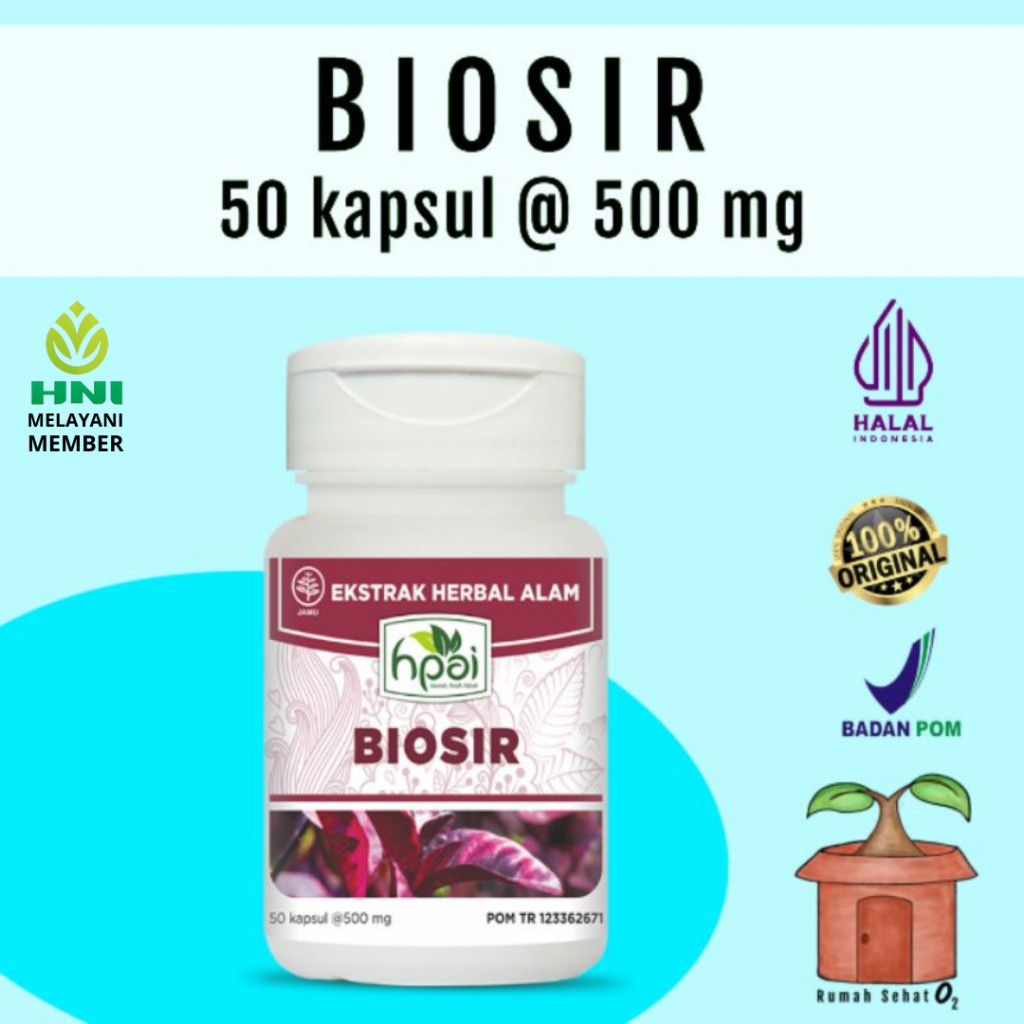 Biosir HNI HPAI Wasir Ambeien Hpa Ekstrak Daun Wungu Ungu Temulawak Sambiloto Pegagan