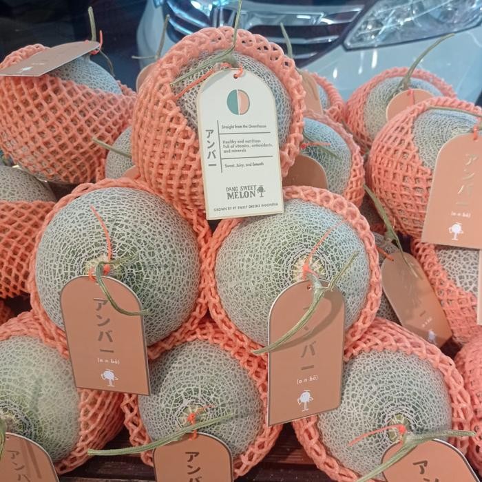 

Melon Anba Jepang Sweet Premium / melon daging oren manis anba pcs
