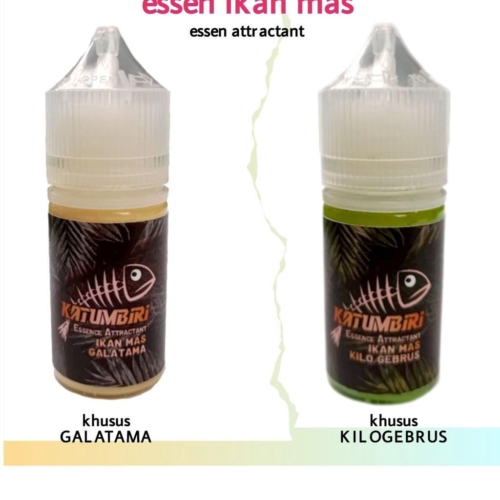 essen ikan mas katumbiri mancing harian lomba galatama