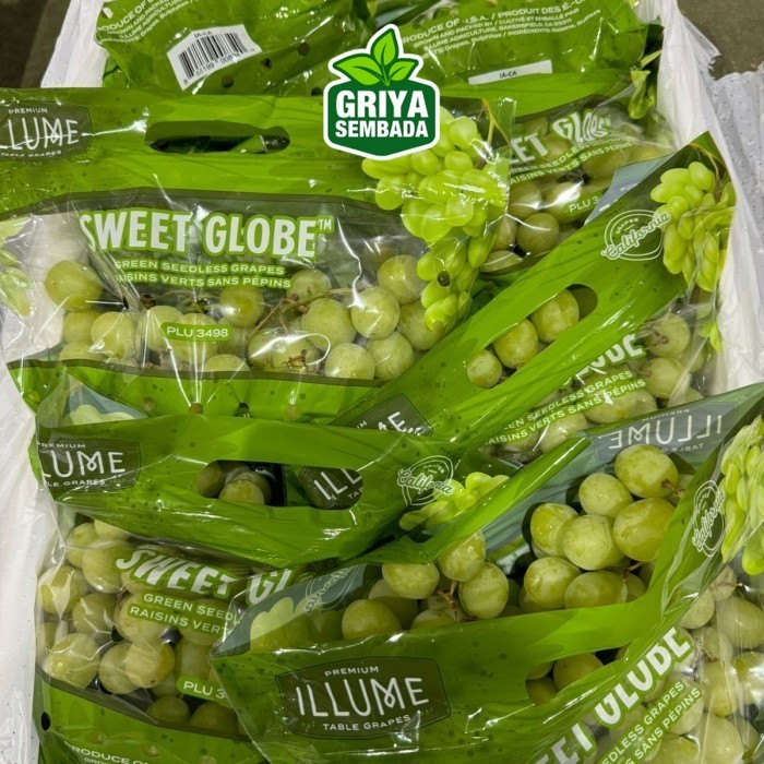 

Instant anggur hijau tanpa biji buah anggur hijau seedless Sameday - Griya Sembada