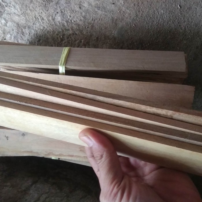 tampat telur kayu bsf