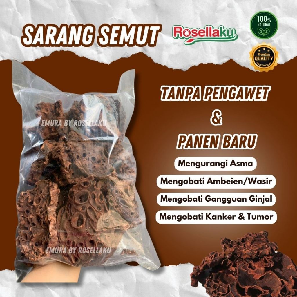 

SARANG SEMUT ASLI PAPUA 1 KG / Obat Kanker Herbal / Obat Ginjal Herbal
