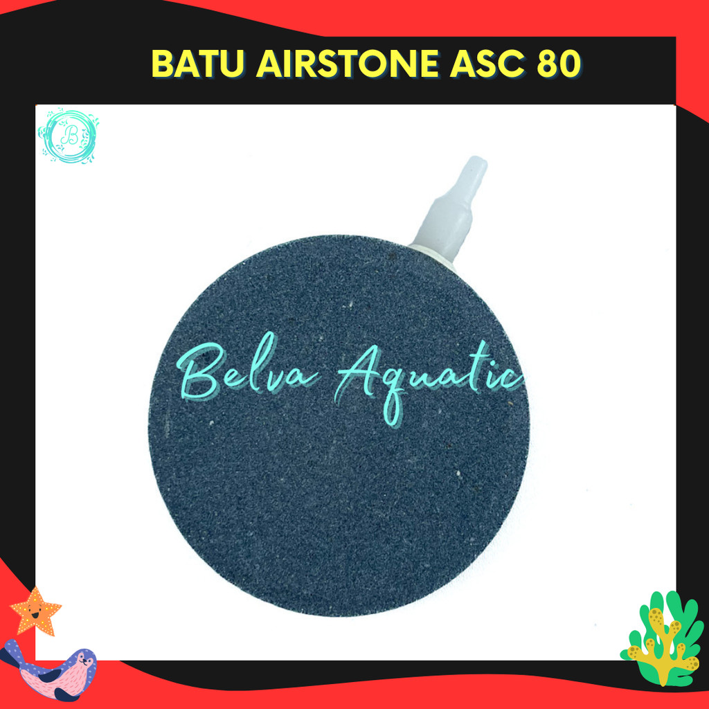 Air Stone Bulat Pipih 80mm 8cm Batu Gelembung Udara Batu Aerasi Batu Aerator Airstone Pipih