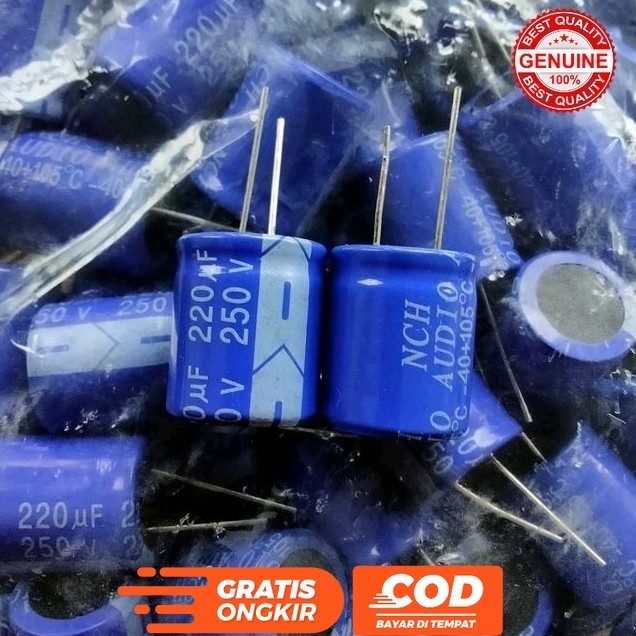 ELCO ELKO 220UF 220 UF 220 MIKRO 250V 250 VOLT MERK NCH AUDIO ORIGINAL