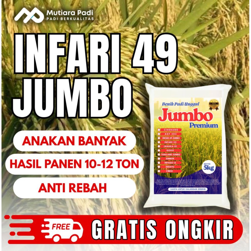 Benih Padi Berkualitas Jenis Infari 49 Anti Hama / Anti Roboh - MR.DN Shop