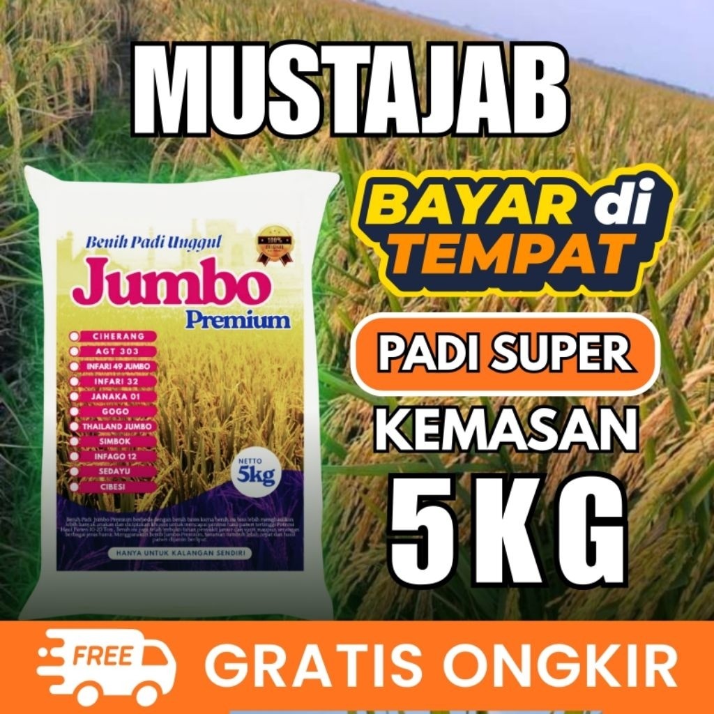 Bibit Padi Unggul Mustajab 5kg