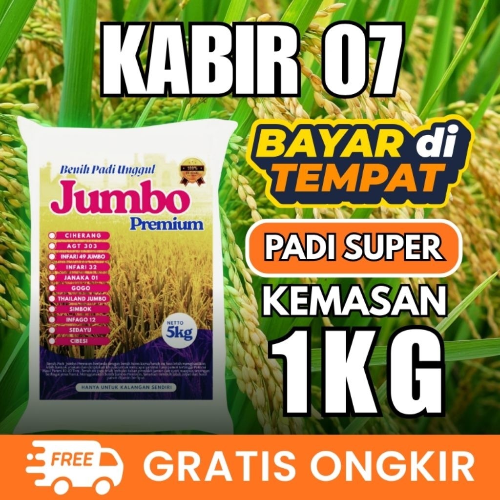 Benih padi kabir 07 kemasan 1kg original
