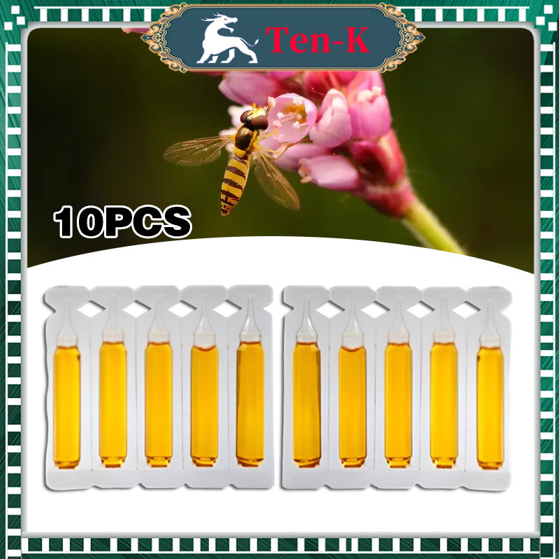 10Pcs Fruit Fly Attractant Liquid / Fruit Fly Killer / Trap Bait