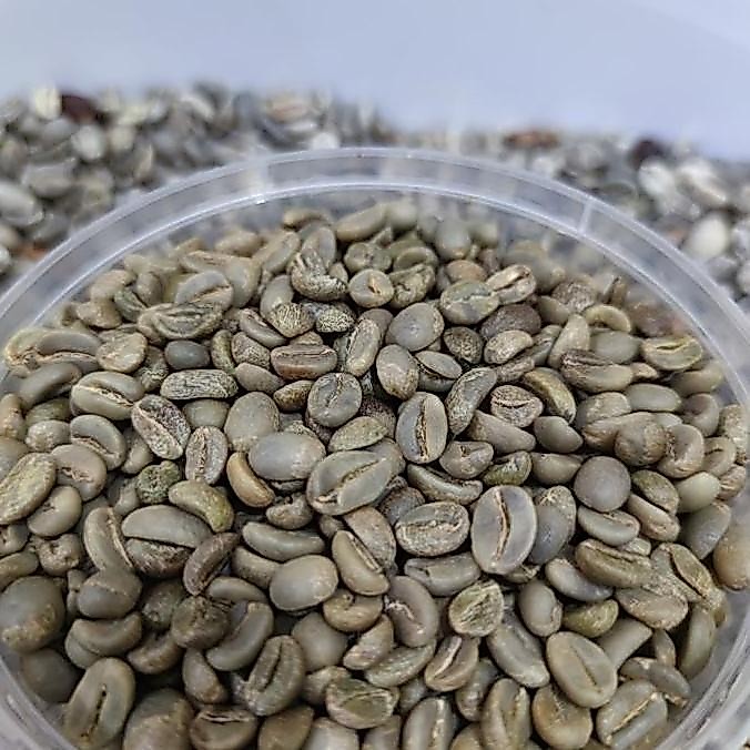 Green bean Arabica Ijen Natural Commercial Grade