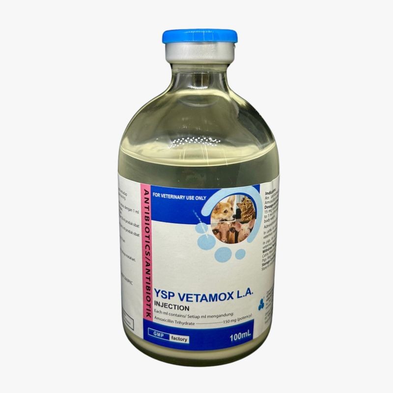 YSP Vetamox LA Inject 100 ml | Amoxicillin Inject 15% | Antibiotik Ternak | Obat Hen | Obat Pencerna