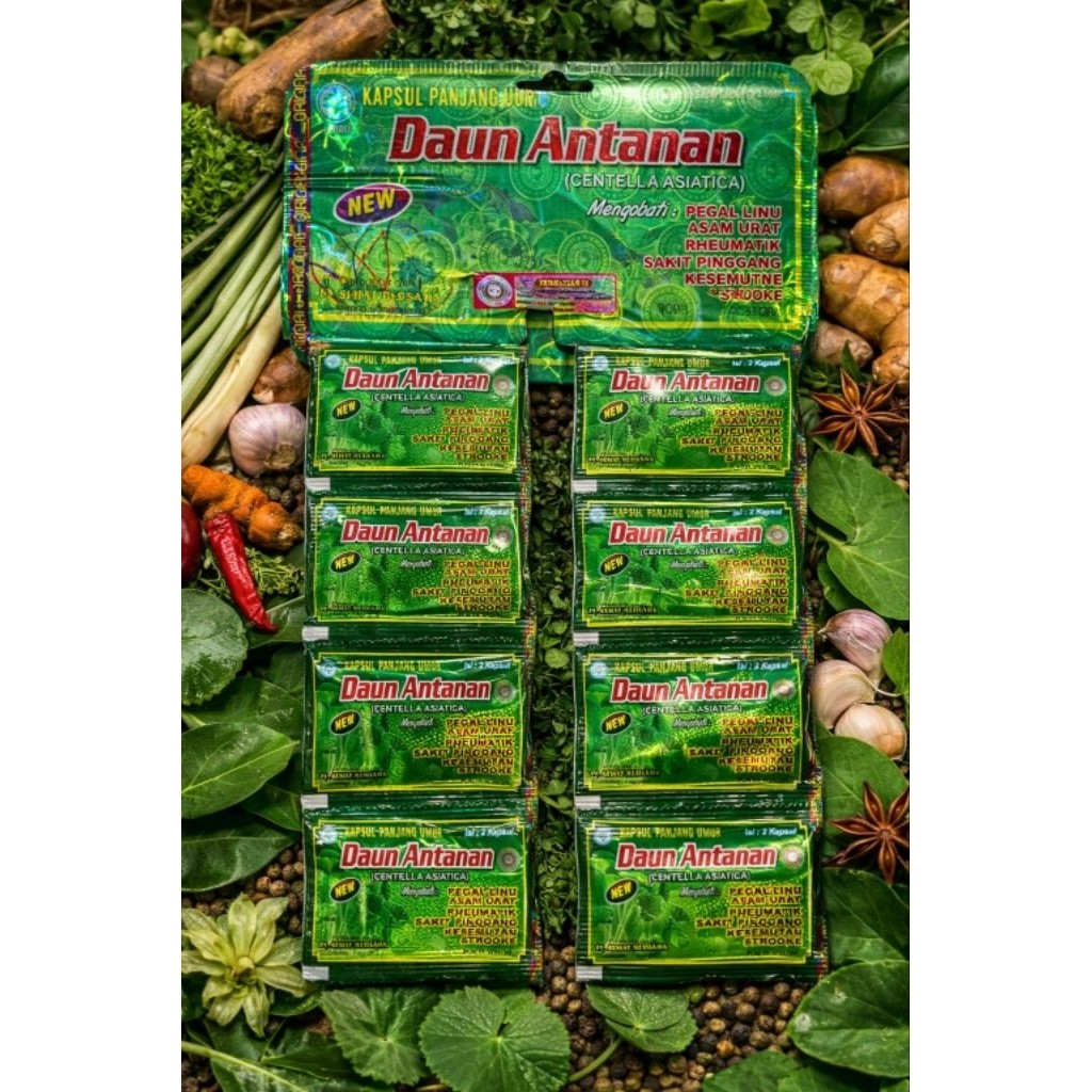 KAPSUL DAUN ANTANAN JAMU HERBAL ORIGINAL