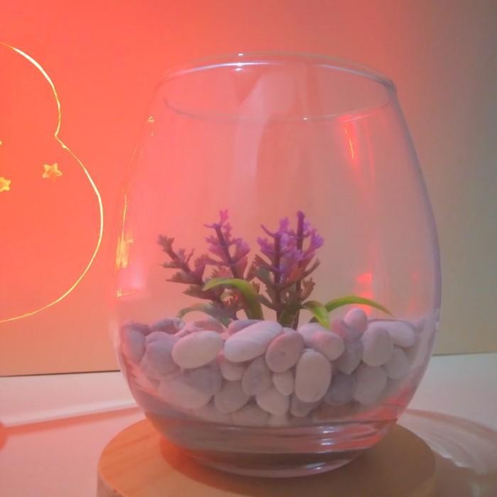 AQUARIUM MINI IKAN CUPANG PAKET AQUARIUM GELAS MINI