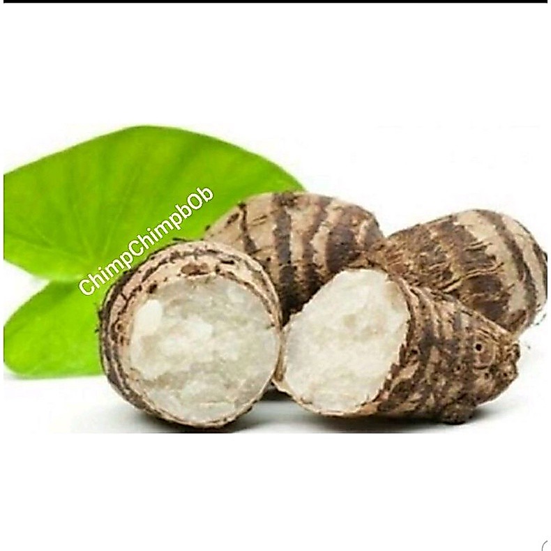 UBI TALAS SEGAR 1 KG / UBI KELADI SEGAR