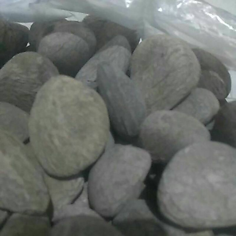 500 Gram kluwek/kluwak/Bumbu rempah rawon