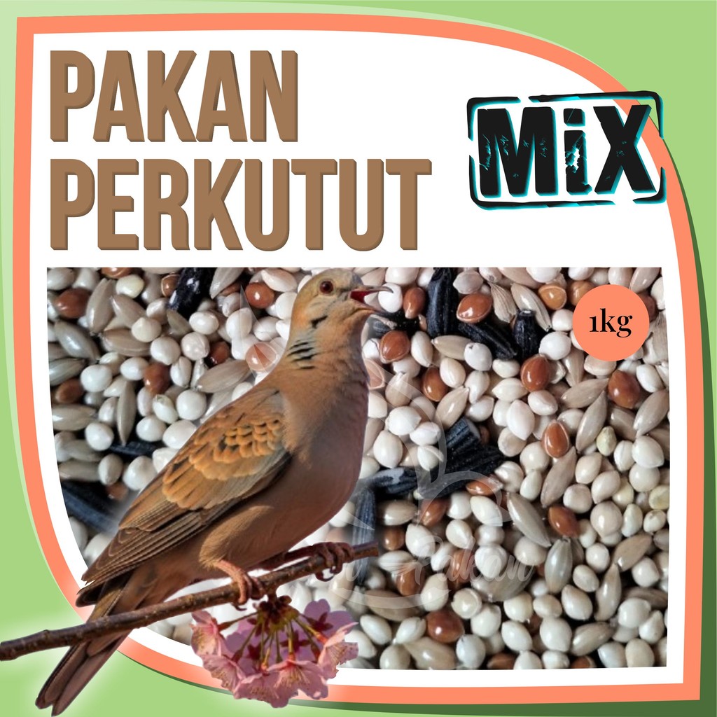 Pakan Perkutut Gacor Berkualitas Racikan 1kg Kenari Seed Ketan Hitam Milet Merah Milet Putih