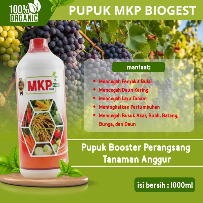 Pupuk MKP Biogest Cair NPK Organik 1000ml Plus GA3 | Penyubur Akar, Daun & Buah Tanaman Anggur | Pup