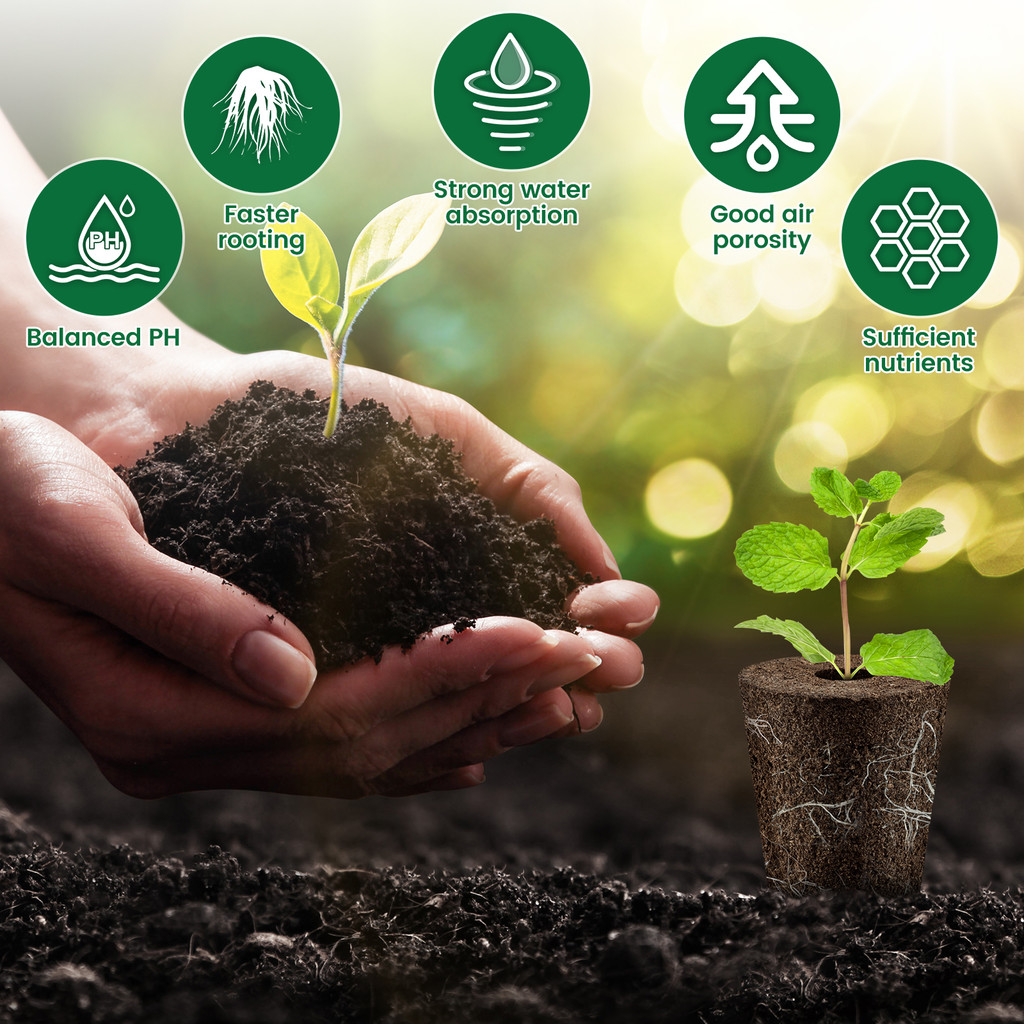 50/100Pcs Grow Sponges Hydroponics Seed Starter Sponges Kit Professional Sponge Water Absorbent Grow