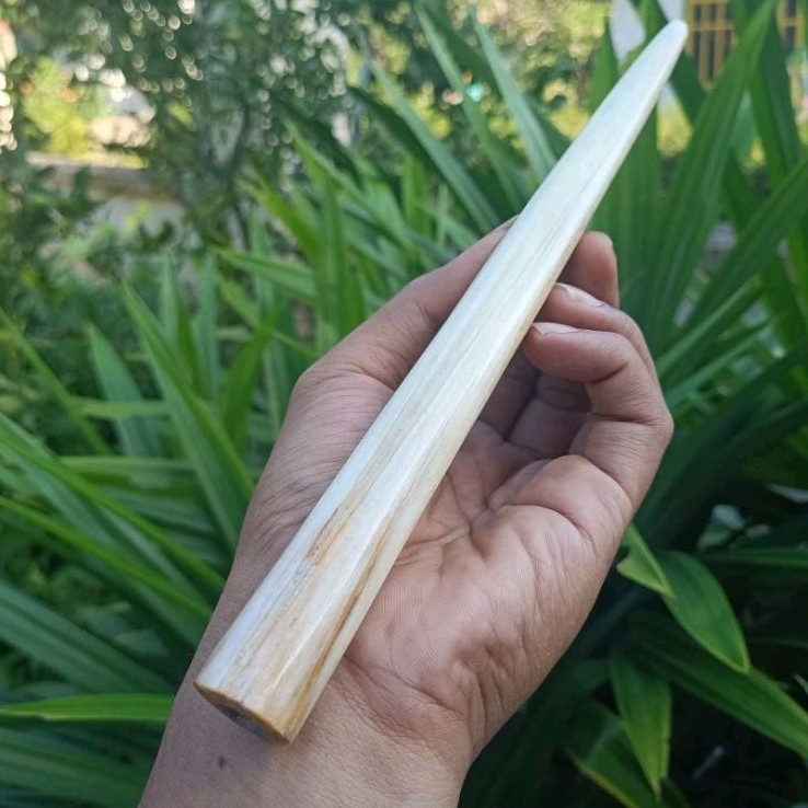 Once Pipa Tulang Moncong Marlin 20cm Premium Asli