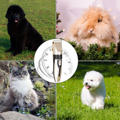 Pet Clipper/ Pencukur Bulu Kucing/Cukur Bulu Anjing / Alat Cukur Bulu Kucing