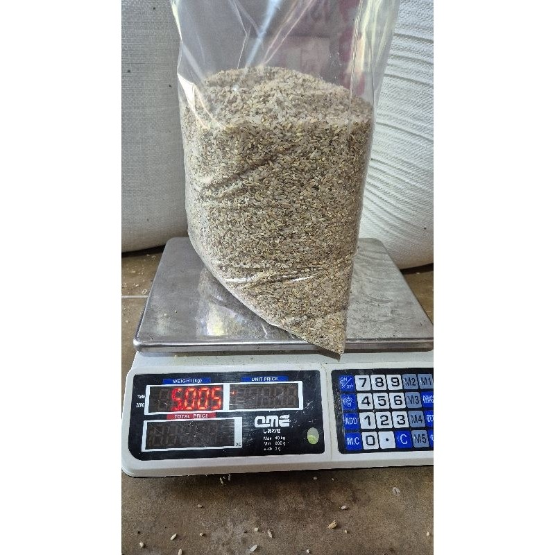 Beras Rijek untuk Pakan Ternak Pakan Ayam Pakan Bebek