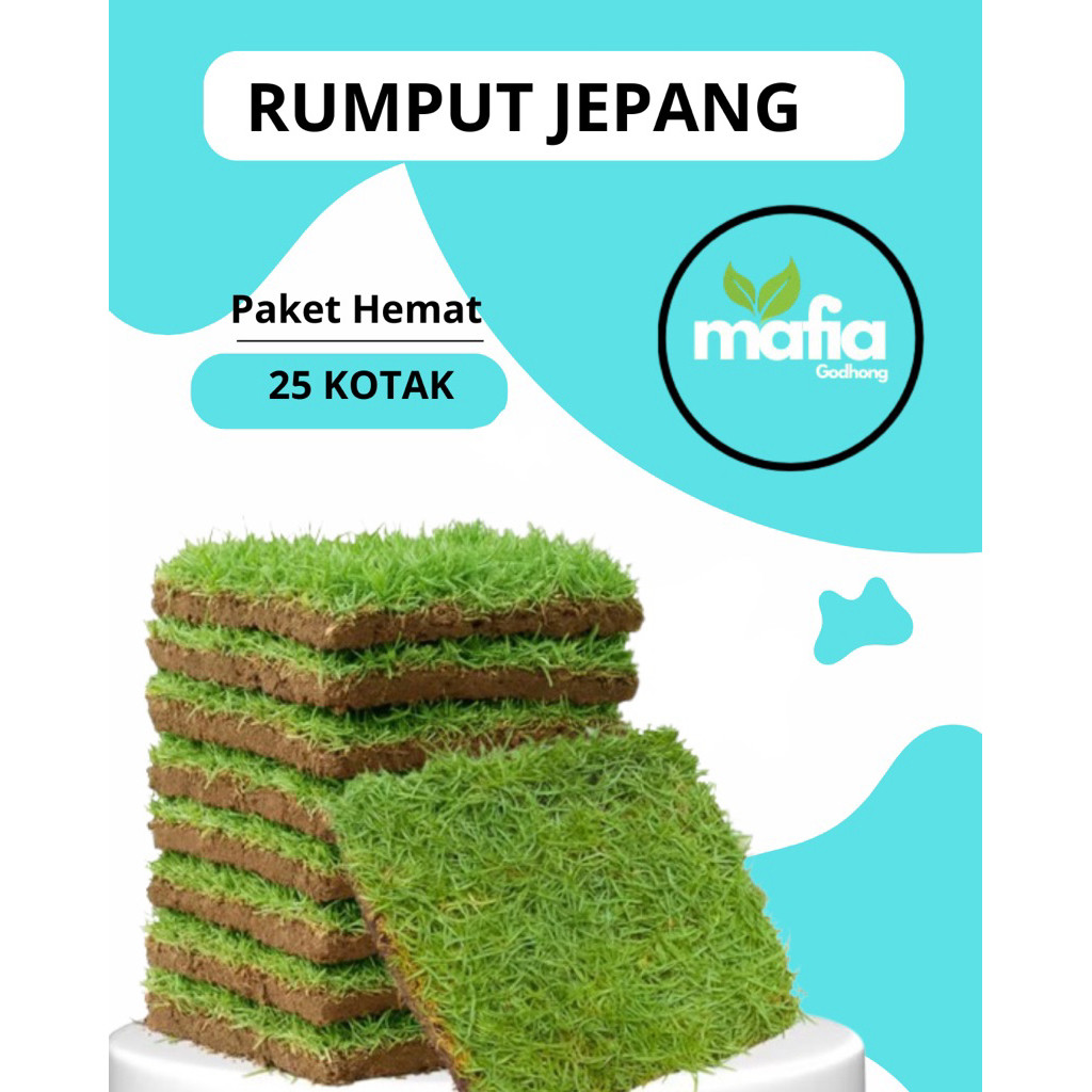 RUMPUT JEPANG PAKET 25 KOTAK/KUBURAN/TANAMANHIAS