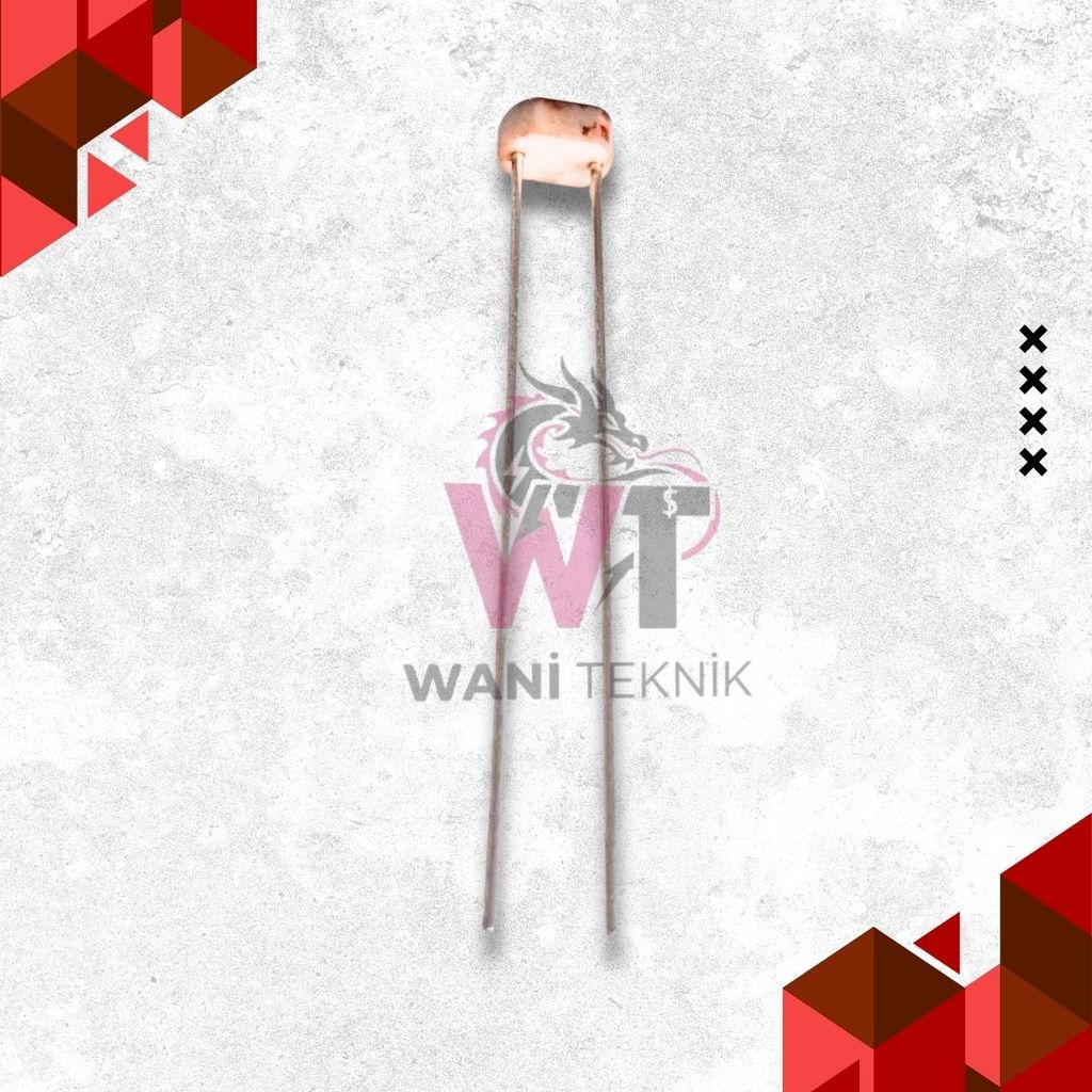 Sensor Cahaya LDR 5mm – Light Sensor Untuk Otomatis Lampu & Proyek DIY