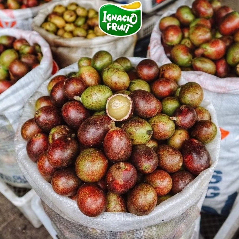 INSTAN PROMO BUAH MATOA 3 RASA (DURIAN,KELENGKENG,RAMBUTAN)