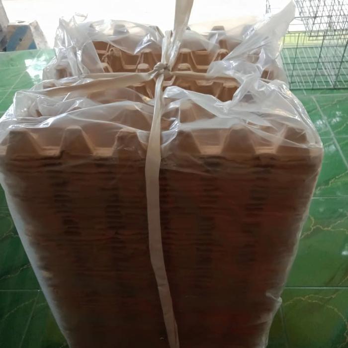 egg tray karton ayam coklat