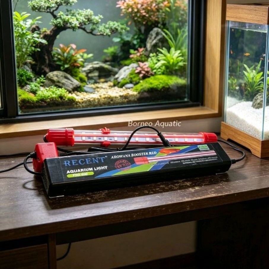 LAMPU SOFT TANNING ARWANA // RECENT PRO 600