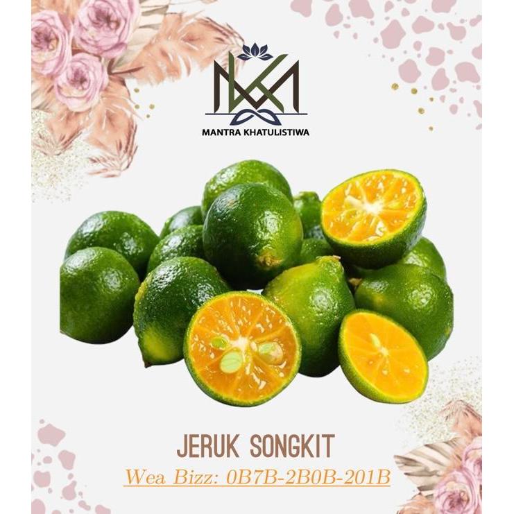 JERUK SONGKIT JERUK KUNCI LEMON CUI PONTIANAK