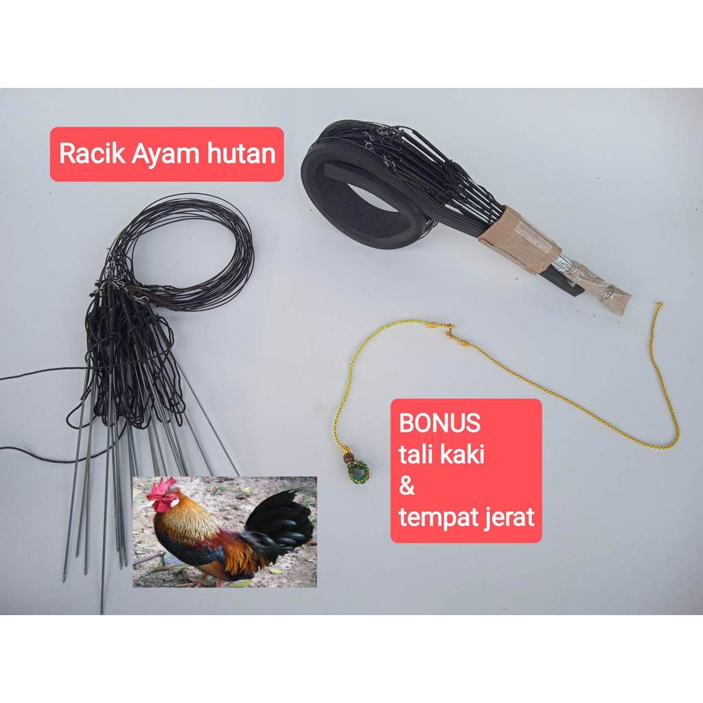 JERAT RACIK TANCAP AYAM HUTAN CANGEHGAR 10 TIANG - JERAT AYAM HUTAN