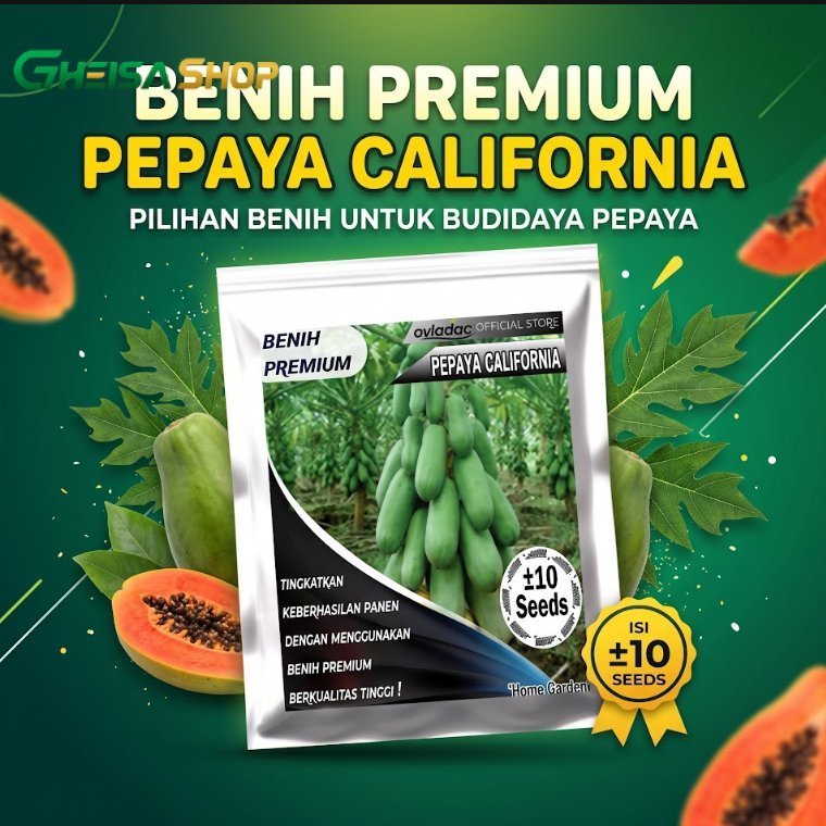 BIBIT/BENIH PEPAYA CALIFORNIA -+ 10 SEED | BENIH BUAH PEPAYA PREMIUM / BIBIT TANAMAN BUAHAN
