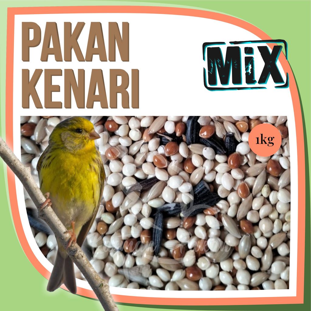 Pakan Kenari Cepat Gacor 1kg Campur Kenari Seed Ketan Hitam Milet Merah Milet Putih