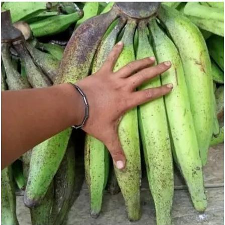 Pisang Tanduk Berkualitas 1 kg ( mentah )