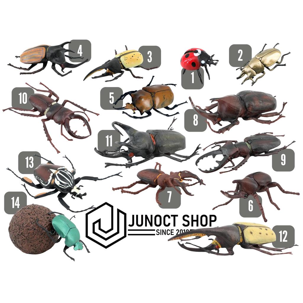 Miniatur Kumbang | Beetle Stag Rhinoceros Hercules Atlas Goliath Ladybug - Figurine Maket Pajangan E